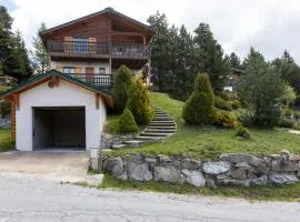 Chalet les deux marmottes - Vue montagne