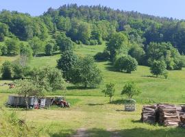 Les studios du frankenthal