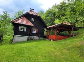 HIŠKA SILVA – dom wakacyjny w mieście Mislinja