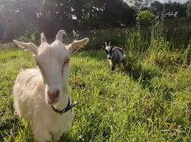 Gîte de la Petite Ferme Bretonne