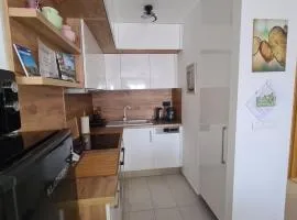 Riella Home