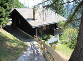 Chalet Antoine 5p, hotel v destinaci Moleson
