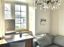 Zurich 2 rooms full lakeview, unique historic house share bath 40 m2