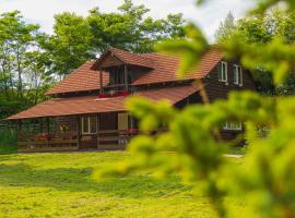 Cabana Amis, villa in Poeni