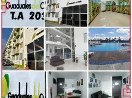 BRISAS DEL QUINDIO N1APTo 307B