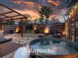 Romantic Tiny Luxury Retreat w heated pool, sauna n outdoor shower in Wimberley 10 acres