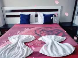 البيت المثالي