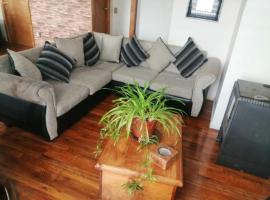 casa sergio, vacation home in Punta Arenas