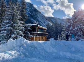 Chalet Robaumont - Grand chalet familial proche du centre et des pistes, chalet i Courchevel