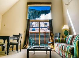 Remodeled Luxury skin out can't get closer to lift, hotel de lujo en Telluride