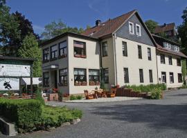 Charmantes Dachgeschoss-Refugium, Harz – hotel w mieście Wildemann