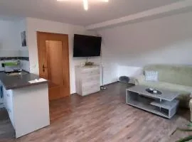 Apartment in Burgk near River Saale and Lake