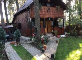 Inchirieri cabana- “Chalet Rustique”, căsuță din Covasna