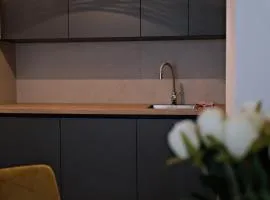 Apartment Ana