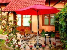 Cozy apartament "APPLES" for travellers, BBQ garden at private House, apartment in Sulechów