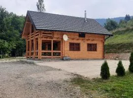 Eko kuca Jandro