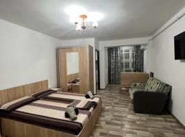 Apartament o camera Radoi, жилье для отдыха в городе Дробета-Турну- Севери