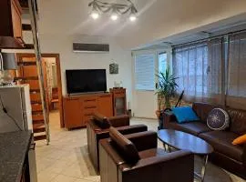 Norwegian village-Duplex app