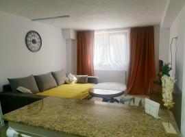 Enjoy BDF, apartment in Vatra Dornei