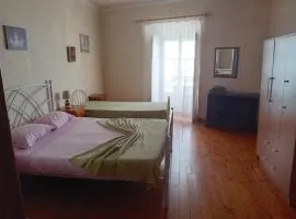 T2 N16 Ref 006