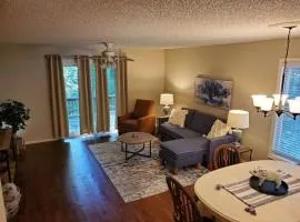 Carrie's View comfort 2bd/2bth