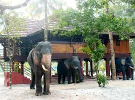 Elephant Courtyard- A Heritage Homestay