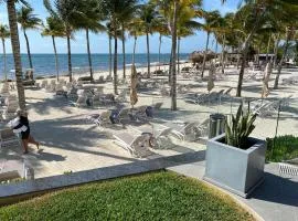 Christmas heaven in Garza Blanca Mexico