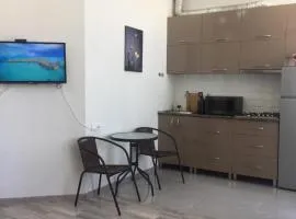 The New Apartament in the Center