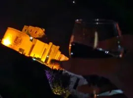 Castle - inside,Voga Guesthause