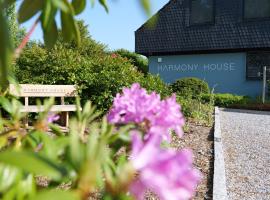 Harmony House, holiday home in Handewitt