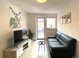Gemütliche Unterkünfte für längeren Aufenthalt und Monteure inkl Balkon, Waschmaschine, WiFi, Küche und Parkplatz