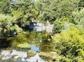 villa en pleine nature