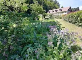 LA CLIMONTAINE