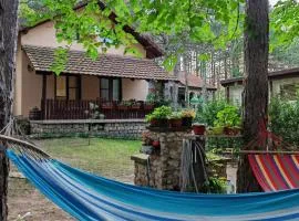 Apartmani Todorovic