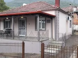Alex House