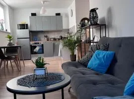 Apartament Przy Parku