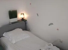 hauts des 2 lions -studio