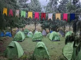 Encamp Ziro Valley Camp