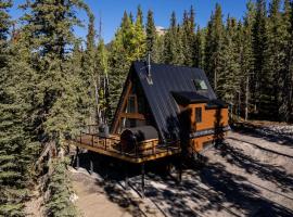 New Modern Rustic A-Frame Cabin with Barrel Sauna, počitniška hiška v mestu Nordegg