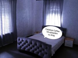 Cataleya Caffee – hostel w mieście Radowce