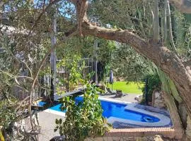 Studio Views Apartment, Cortijo Fruitful Hills