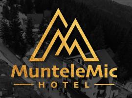 Hotel Muntele Mic, hotel in Borlova