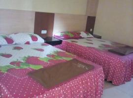 Hotel Borobudur Inn, hotell i Magelang