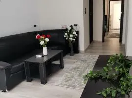 Apartament Sonya