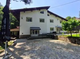 Pensiunea Puiu
