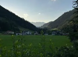 Naturparadies Nähe Grüner See