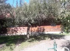 Stara hiža