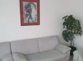 Purple apartament
