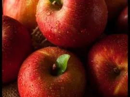 Manzanas
