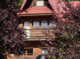 Ski House Szczyrk - Solisko, hotel near Solisko - Wierch Pośredni Ski Lift, Szczyrk